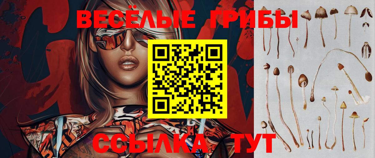 Псилоцибиновые грибы Psilocybine cubensis  дарнет шоп  Северск  Вход с VPN 