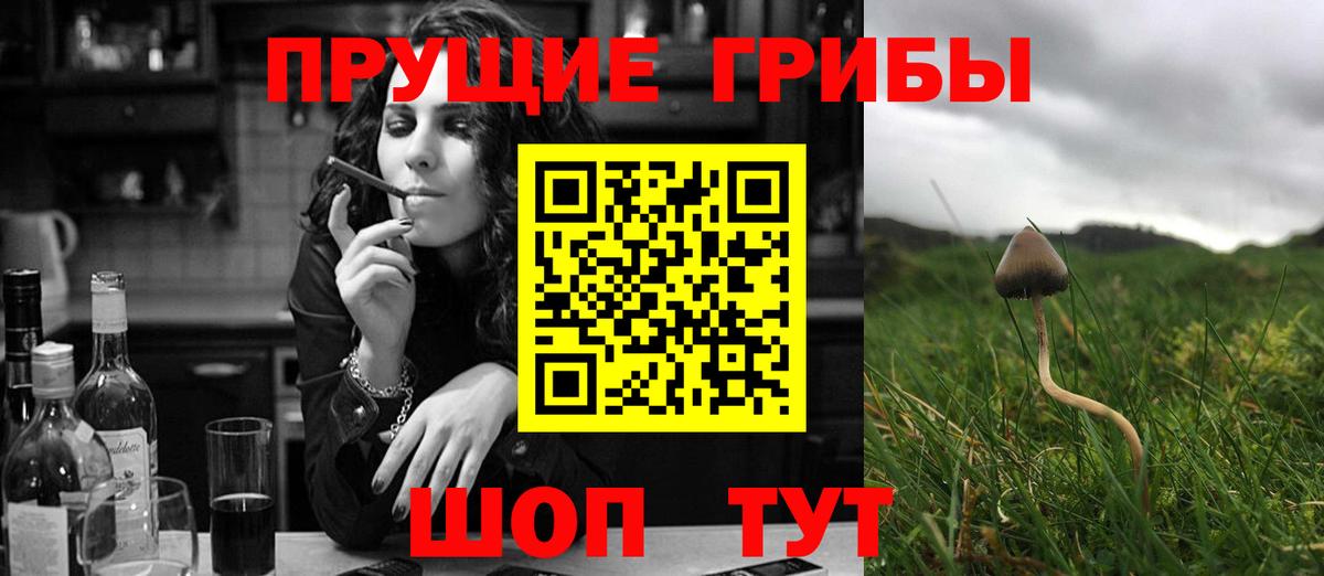 Галлюциногенные грибы мухоморы Северск